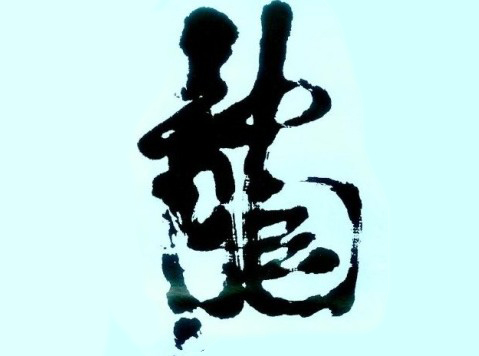“中国龙”写出的民族心声（图）