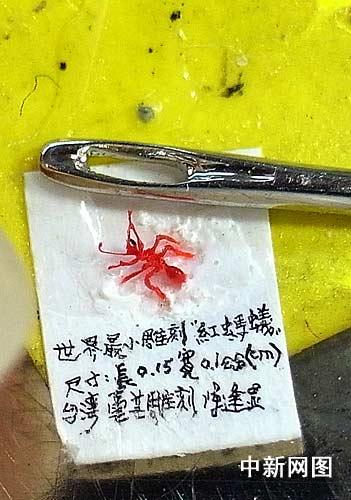 台微雕家新作：世界最小的红蚂蚁(图)