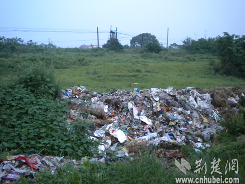 荆州全国重点文物保护单位竟成垃圾场