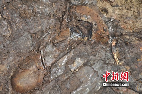 江苏千年汉墓考古新进展：墓主或是吴王刘濞
